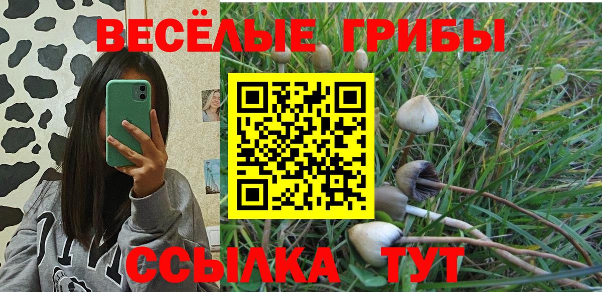 Галлюциногенные грибы MAGIC MUSHROOMS Верхний Уфалей